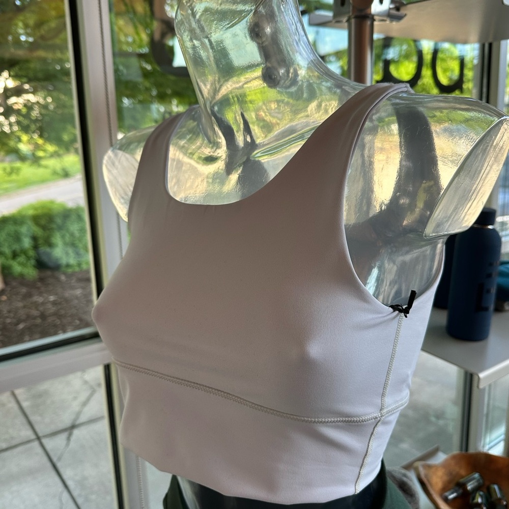 DYI elevate frosted window sports bra